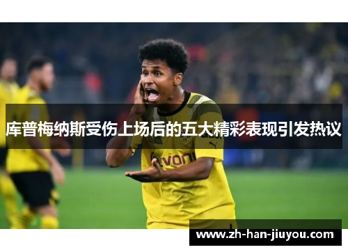 库普梅纳斯受伤上场后的五大精彩表现引发热议