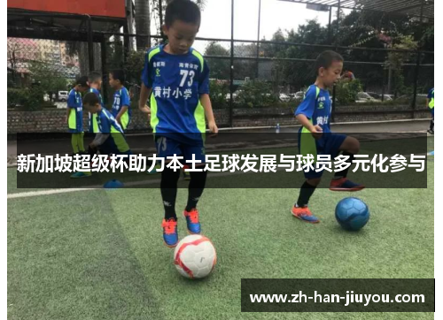 新加坡超级杯助力本土足球发展与球员多元化参与 新加坡超级杯助力本土足球发展与球员多元化参与