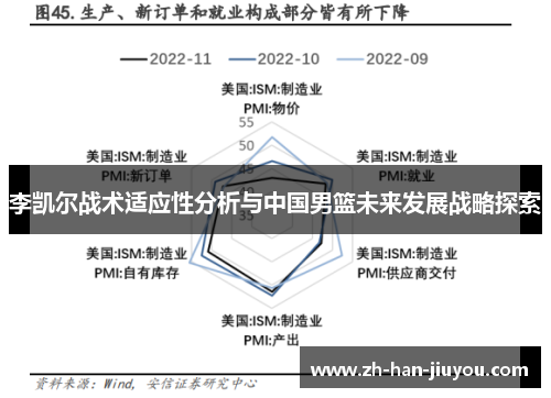 李凯尔战术适应性分析与中国男篮未来发展战略探索 李凯尔战术适应性分析与中国男篮未来发展战略探索