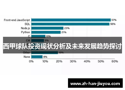 西甲球队投资现状分析及未来发展趋势探讨