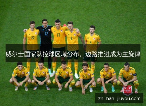 威尔士国家队控球区域分布,边路推进成为主旋律 威尔士国家队控球区域分布,边路推进成为主旋律